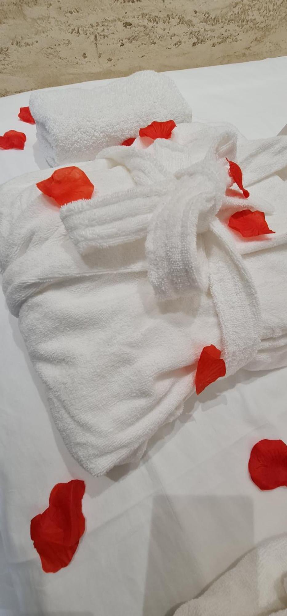 Design Apartment Platinium Spa Lux 5 Star "Havana" Completely Private Wellness & Spa Free Included Sauna & Jacuzzi & Salt Wall & Fire Place & 3D Ceilings & Business Wifi & Netflix & Keyless Code Entry & Full Smart App & Secure 2 Parking Place Ćuprija エクステリア 写真